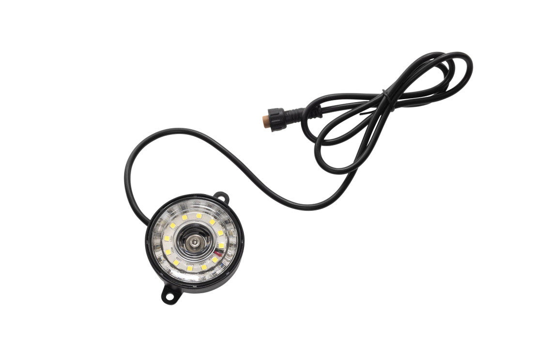 Morimoto Rock Light: Single