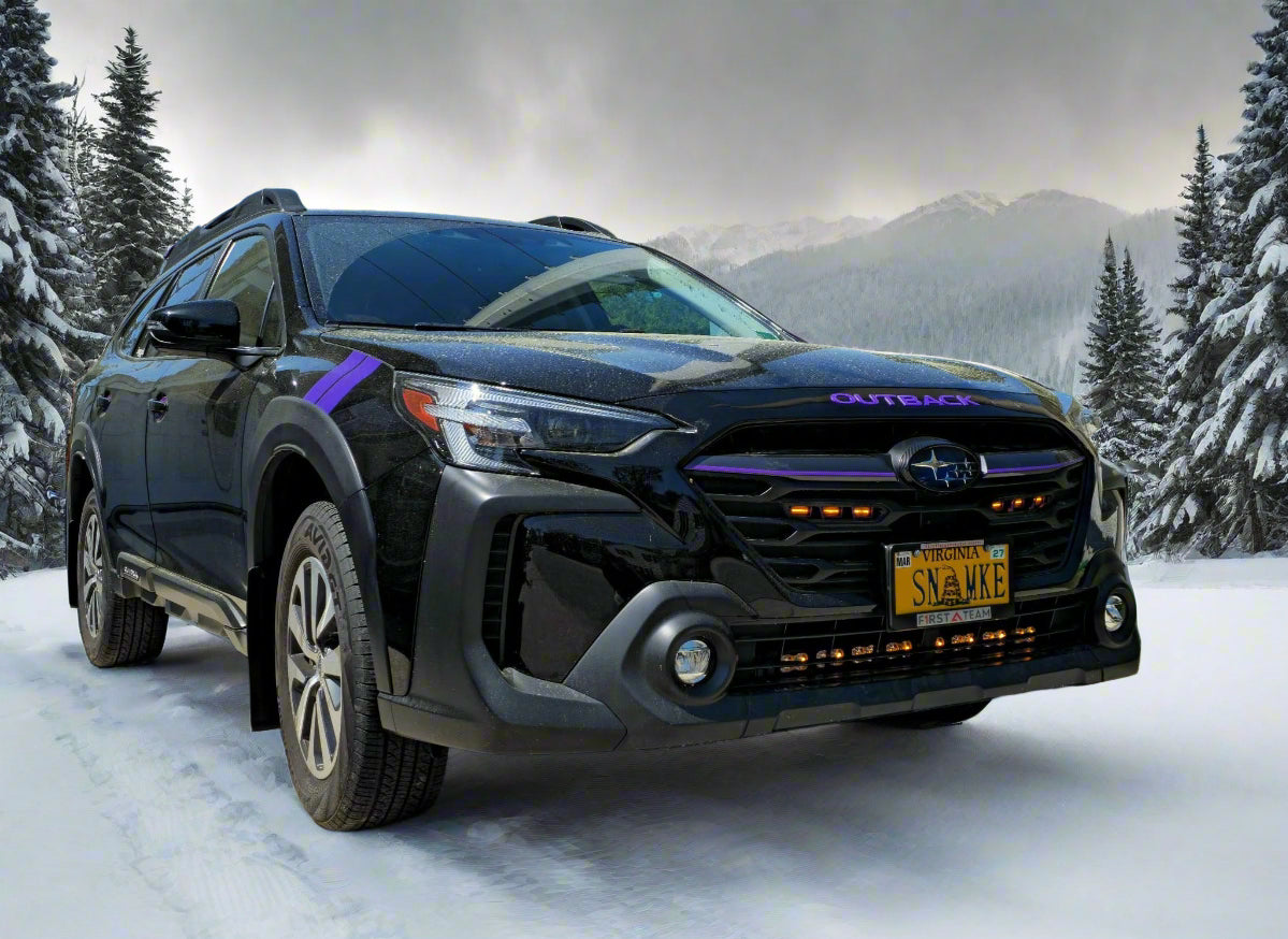 Parrilla XB: Ford F150 Raptor (10-21 / Juego)