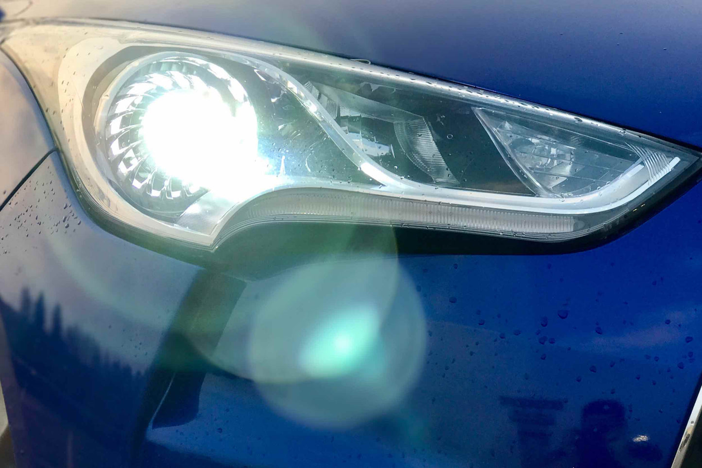 H1: ACME HID (8000K)