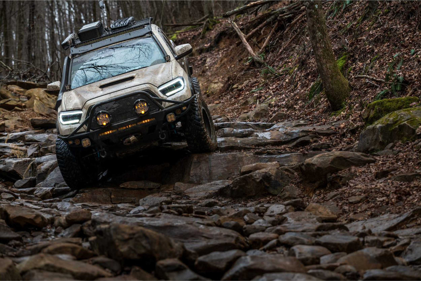 Adapter: Toyota Tacoma XB LED Headlight Harness for OE LED DRL