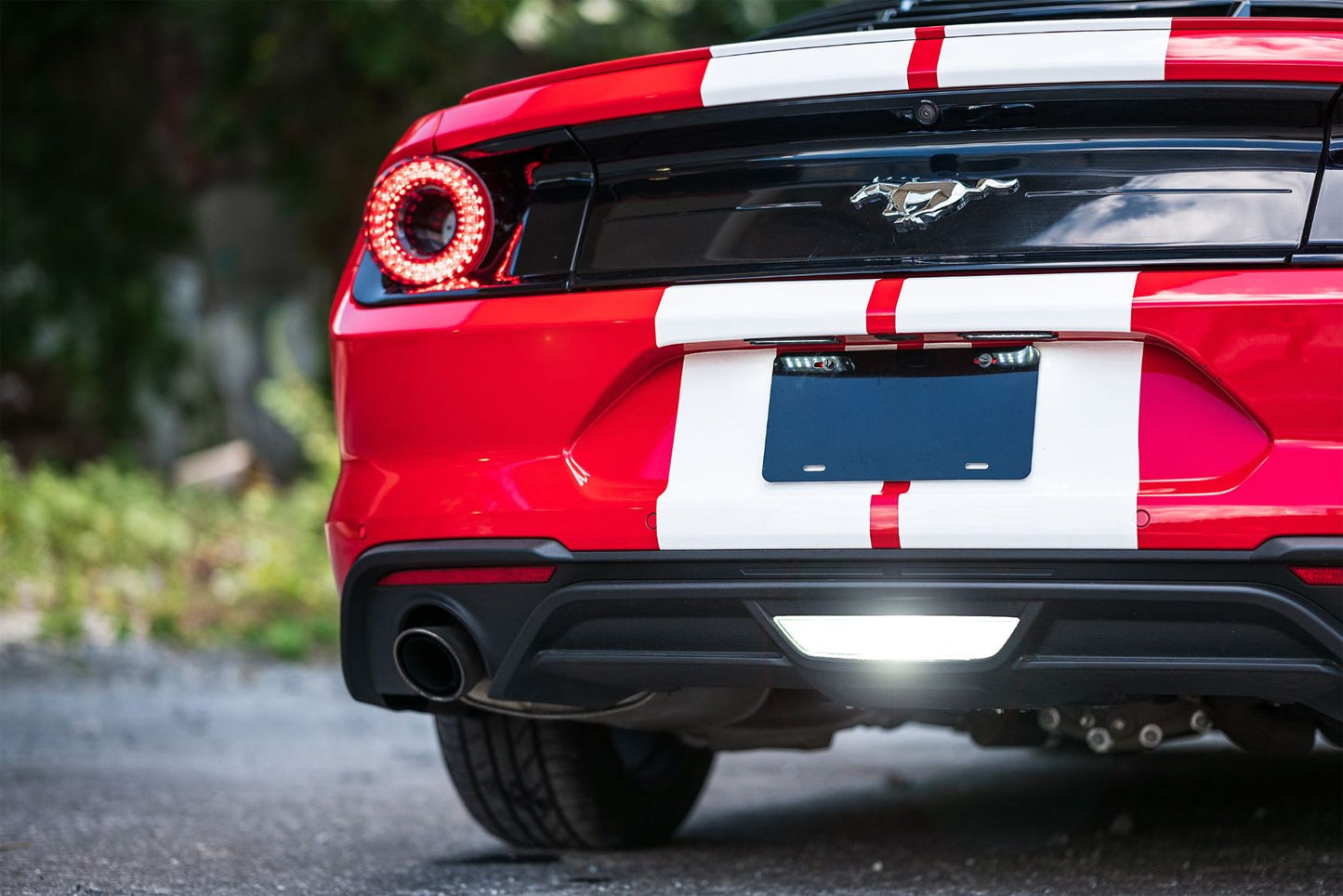 Luces de matrícula XB: Ford Mustang (15-20/par)