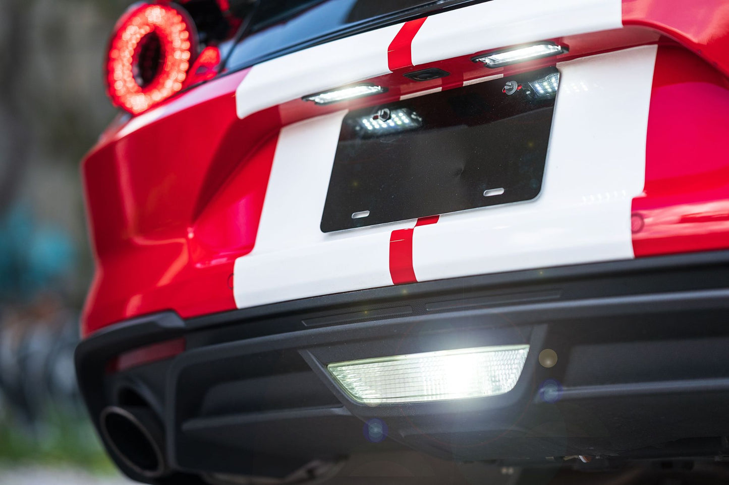 Luces de matrícula XB: Ford Mustang (15-20/par)