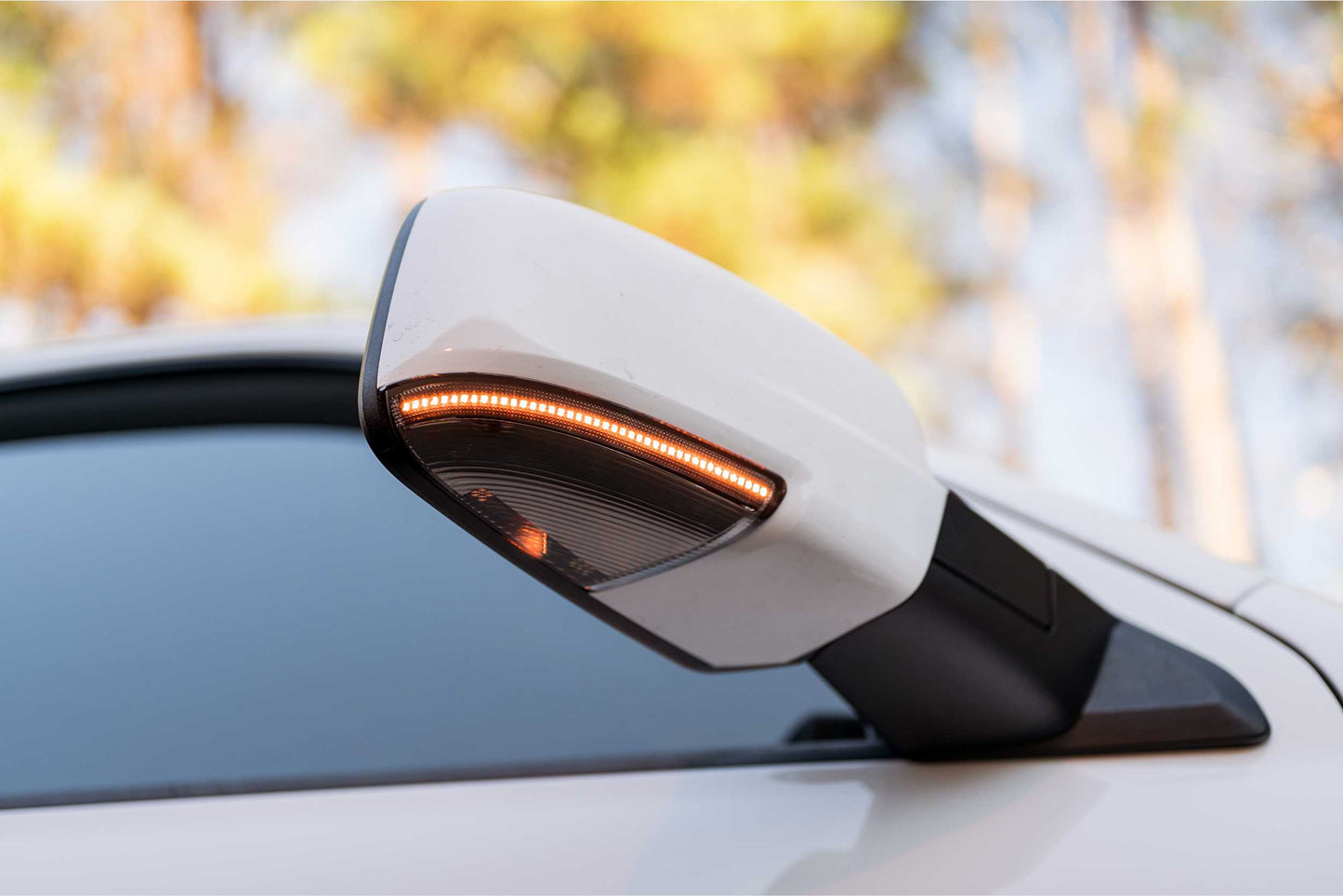 Luces LED para espejo retrovisor XB: Dodge Ram (09-18 / Parte inferior / Par)