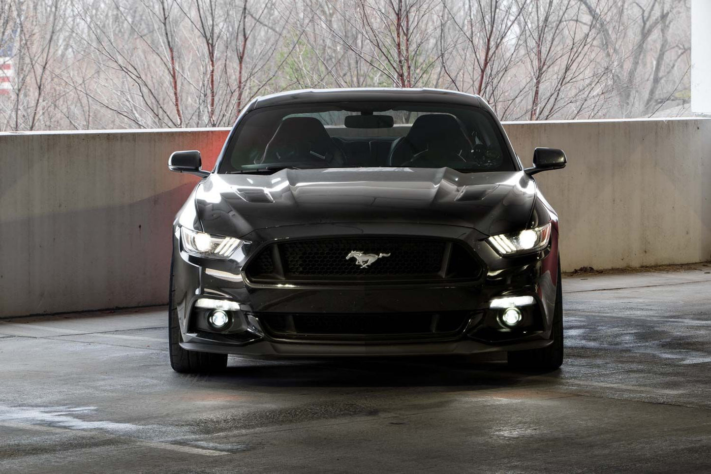 Elite Series Fog Lamps for 2015-2017 Ford Mustang
