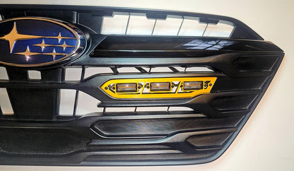 Parrilla XB: Ford F150 Raptor (10-21 / Juego)