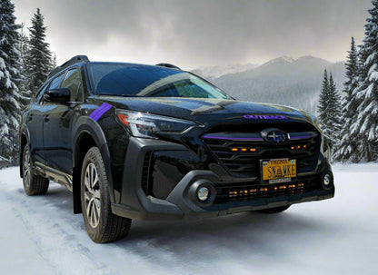 Parrilla XB: Ford F150 Raptor (10-21 / Juego)