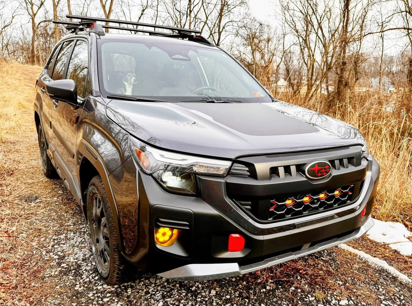 2026+ Subaru Forester Wilderness LED Raptor Grille Lights (Type 13.1)