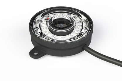 Rock Light: Profilpixel (Blau)