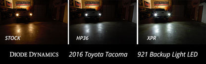 Backup LEDs for 2004-2021 Toyota Tacoma (pair), HP5 (92 lumens)