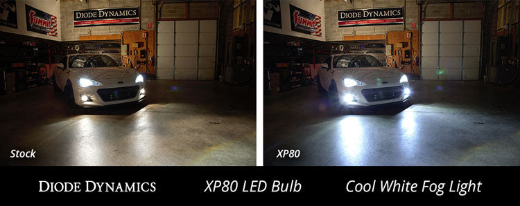 H8 XP80 LED Cool White Pair Diode Dynamics