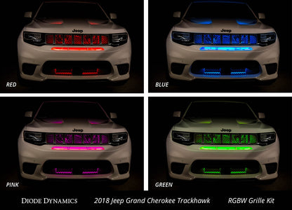 RGBW-Grillstreifen-Kit 4-teilig Multicolor Diode Dynamics