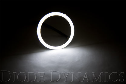 Halo Lights LED 80mm/100mm Blue Pair Diode Dynamics