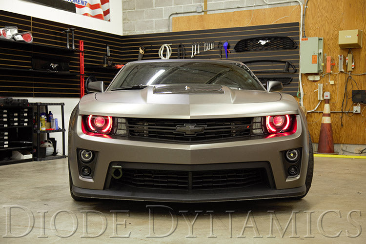 Placas LED RGBW para Camaro 10-13 RS/12-15 ZL1 Diode Dynamics