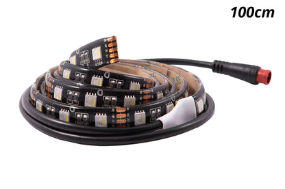 RGBW 50cm Strip SMD30 M8 Diode Dynamics