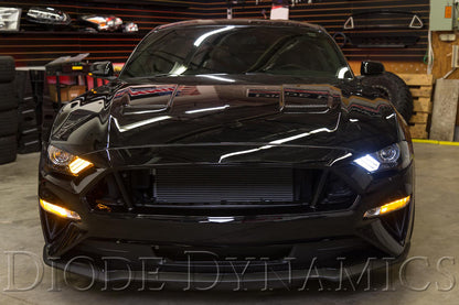 Switchback DRL-LED-Platinen für 2018-2021 EU/AU Ford Mustang