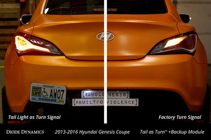 Genesis Coupe Heck als Blinker + Rückfahrmodul 13-16 Hyundai Genesis Coupe Diode Dynamics