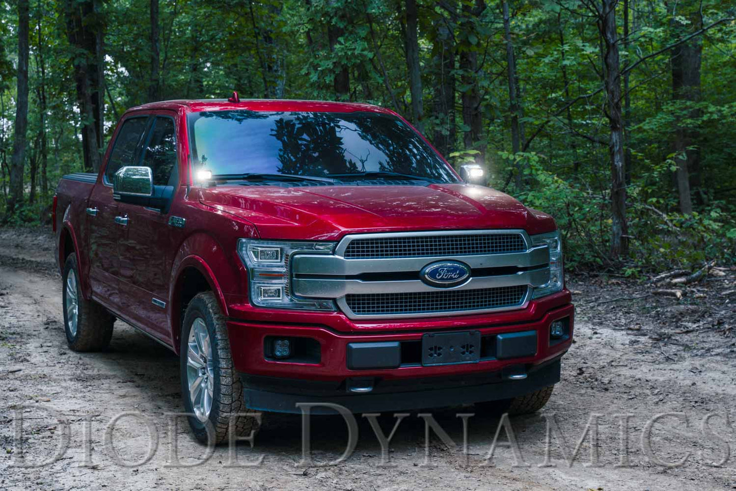 SS3 LED-Grabenlicht-Kit für 2015-2020 Ford F-150 Sport White Combo Diode Dynamics